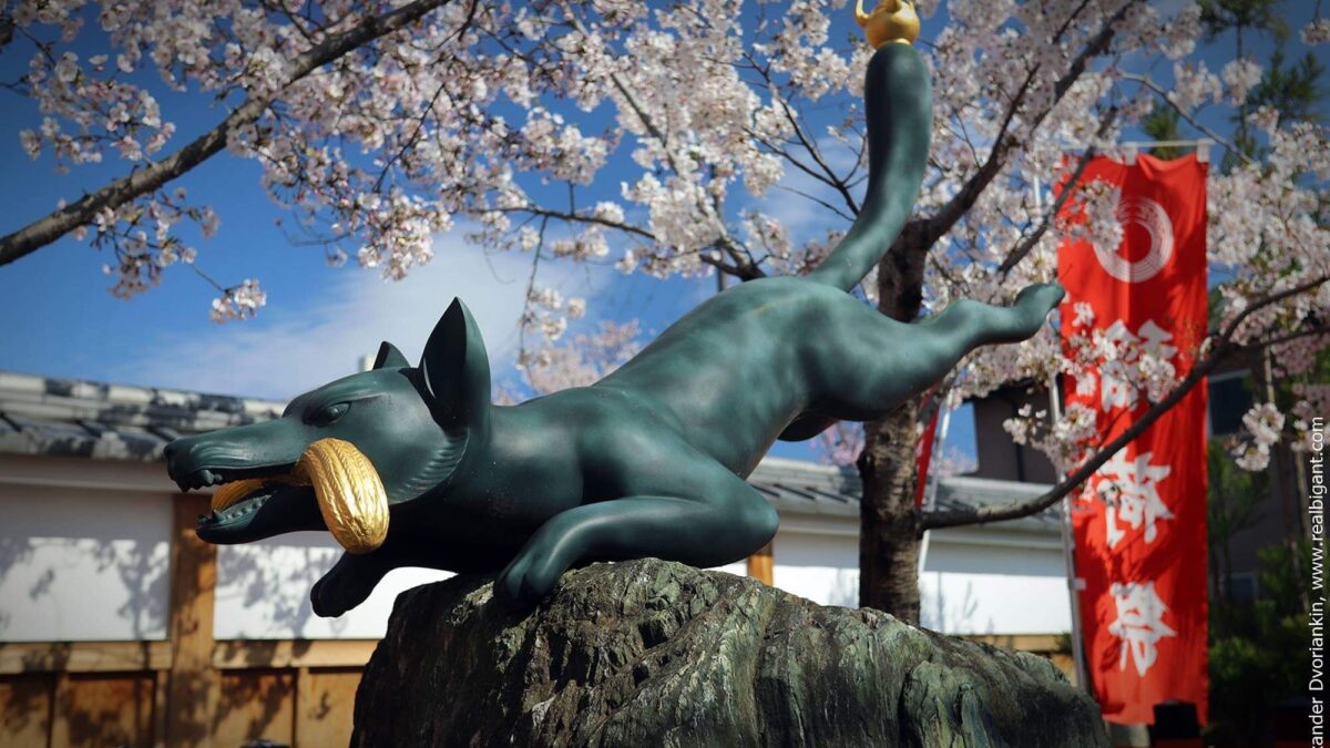 Киото: сакура, весна, любовь!